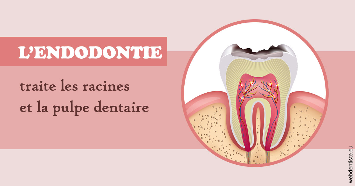 https://dr-cegarra-carolle.chirurgiens-dentistes.fr/L'endodontie 2
