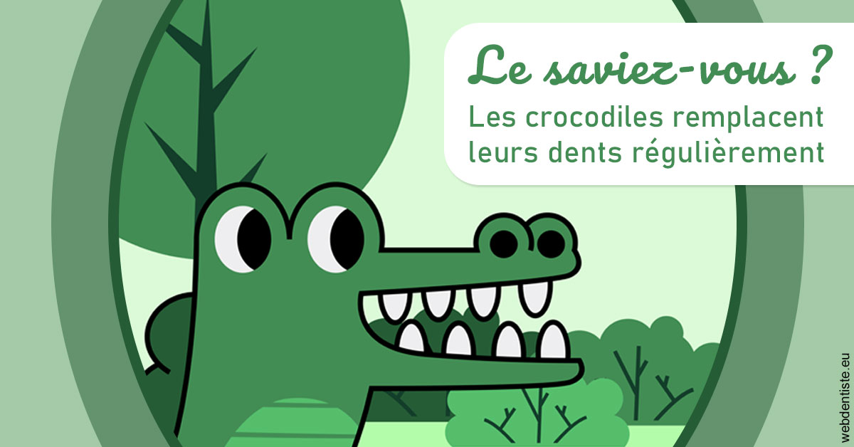 https://dr-cegarra-carolle.chirurgiens-dentistes.fr/Crocodiles 2
